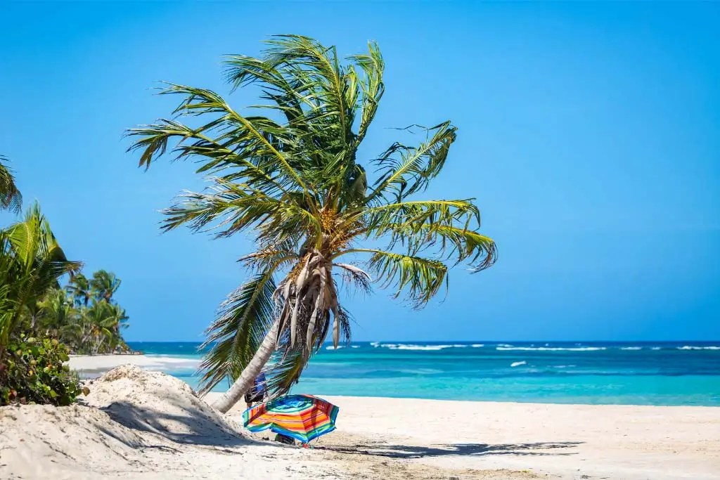flamenco beach Puerto Rico Tour El Yunque